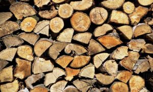 7 Best Wood Siding Options to Transform Your Exterior | ET Painters