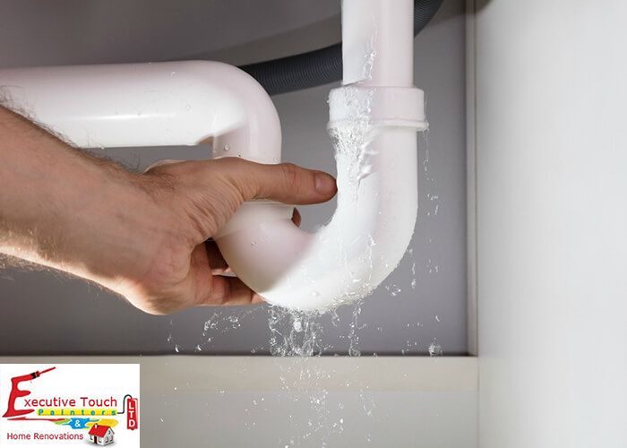 How to Diagnose Common Plumbing Problems in Your Home?